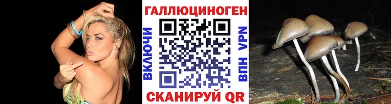 Псилоцибиновые грибы мухоморы где купить KRAKEN сайт Закаменск