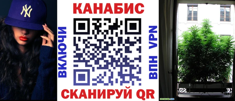 Шишки марихуана Amnesia Закаменск